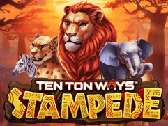 Ten Ton Ways Stampede game icon